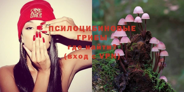 молекула духа Ростов