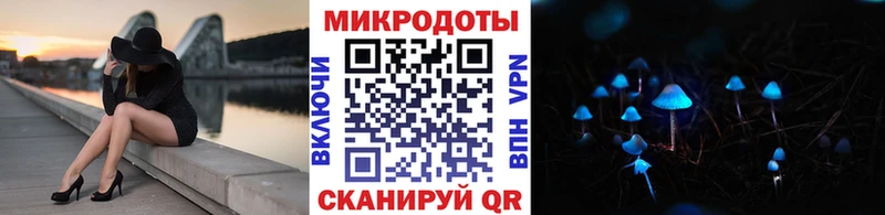 как найти закладки  Волгореченск  Псилоцибиновые грибы Cubensis 